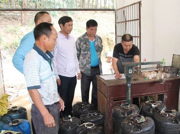 1704243991047039284.jpg 微信圖片_20240103090430.jpg