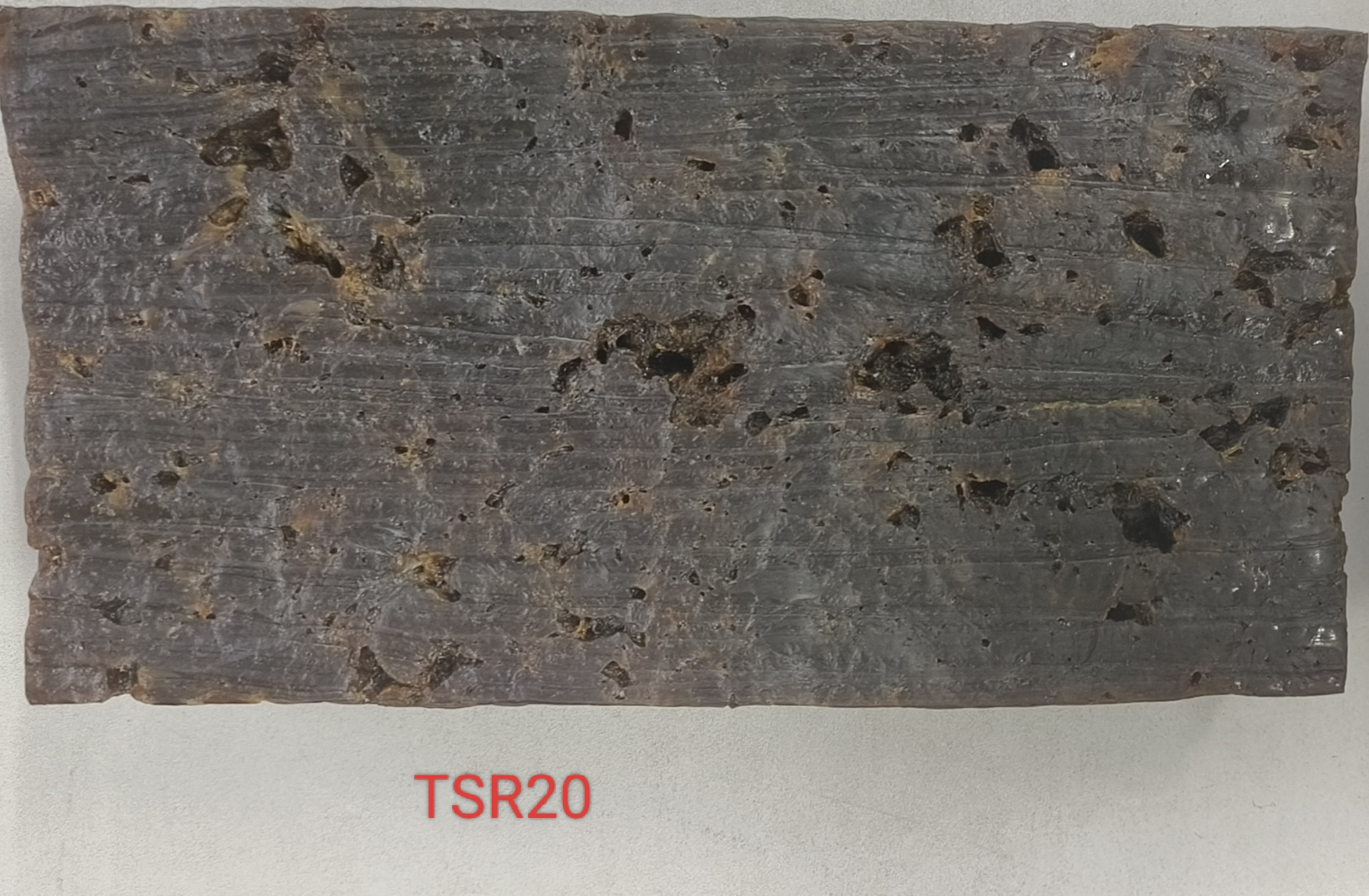 1710498288530007216.jpg TSR20.jpg