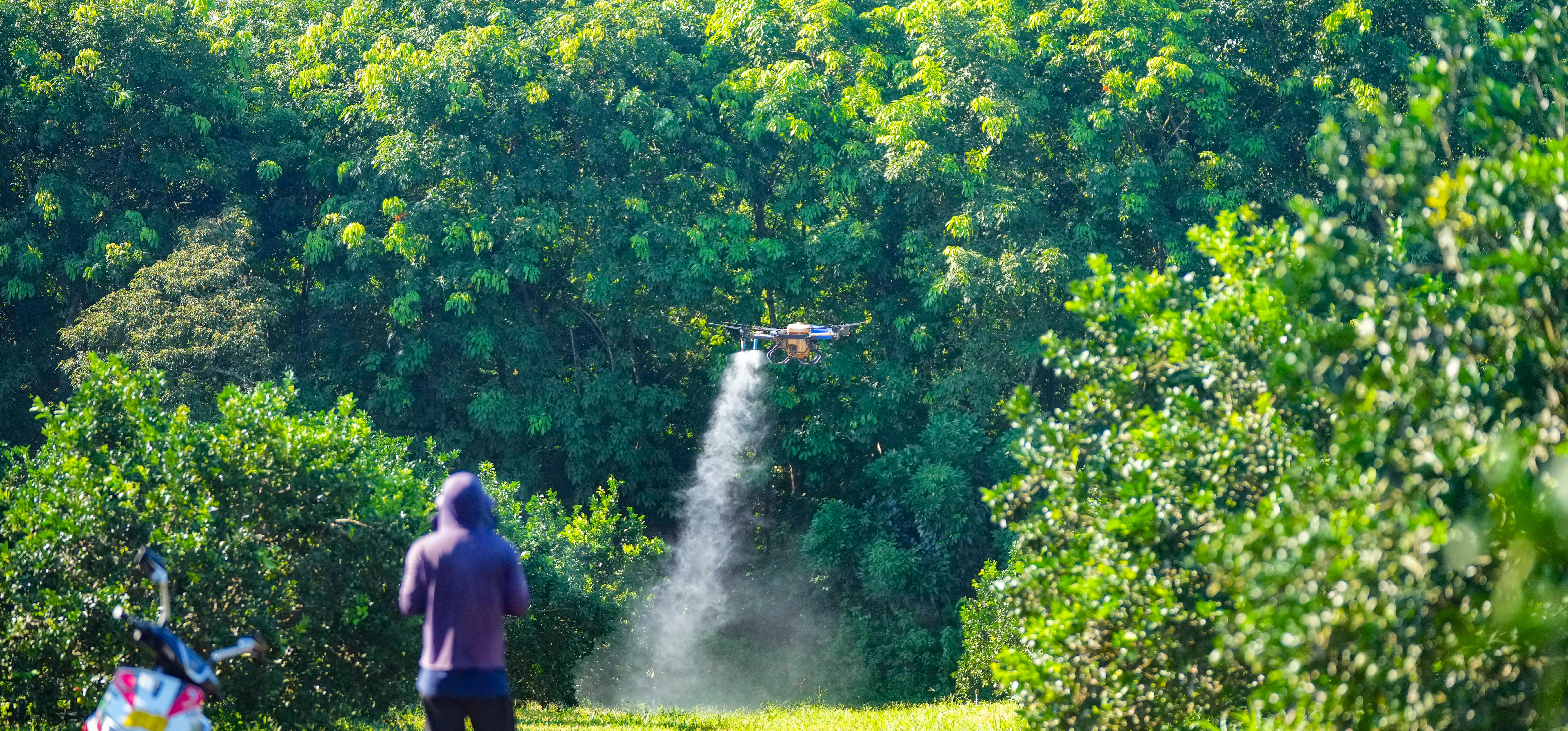 1721177892043056564.jpg 1721177892043056564.jpg