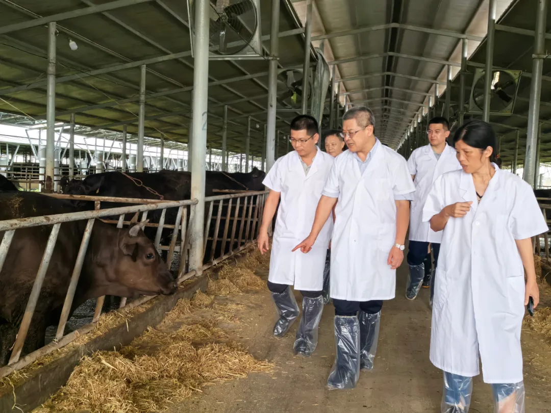 1726197143701031241.jpg 1726197143701031241.jpg