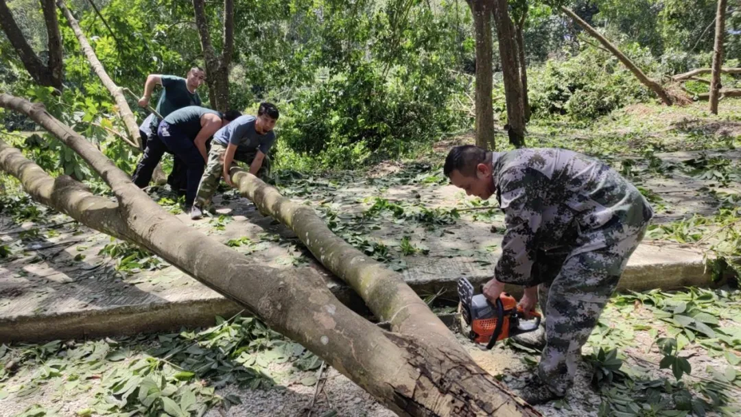 1726283579662040536.jpg 1726283579662040536.jpg