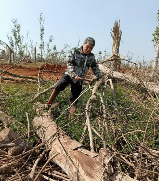 1741880332888094733.jpg 1741880332888094733.jpg